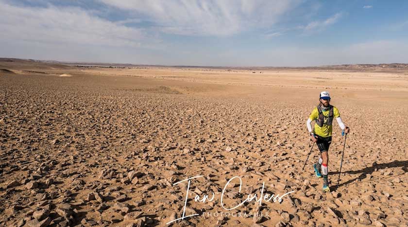 The world according to Wardian